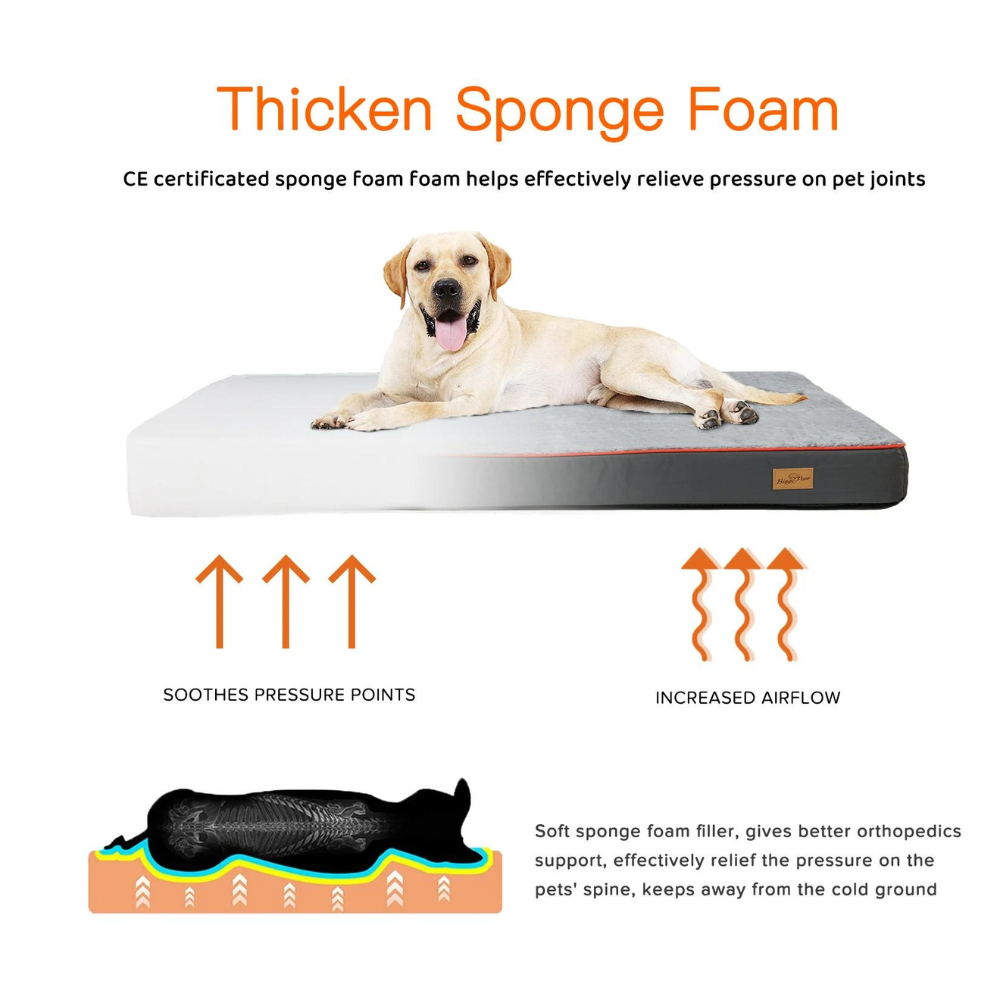 BINGOPAW Dog Bed Mat