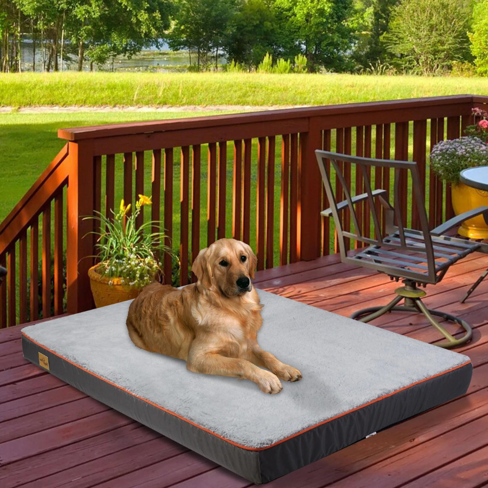 BINGOPAW Dog Bed Mat