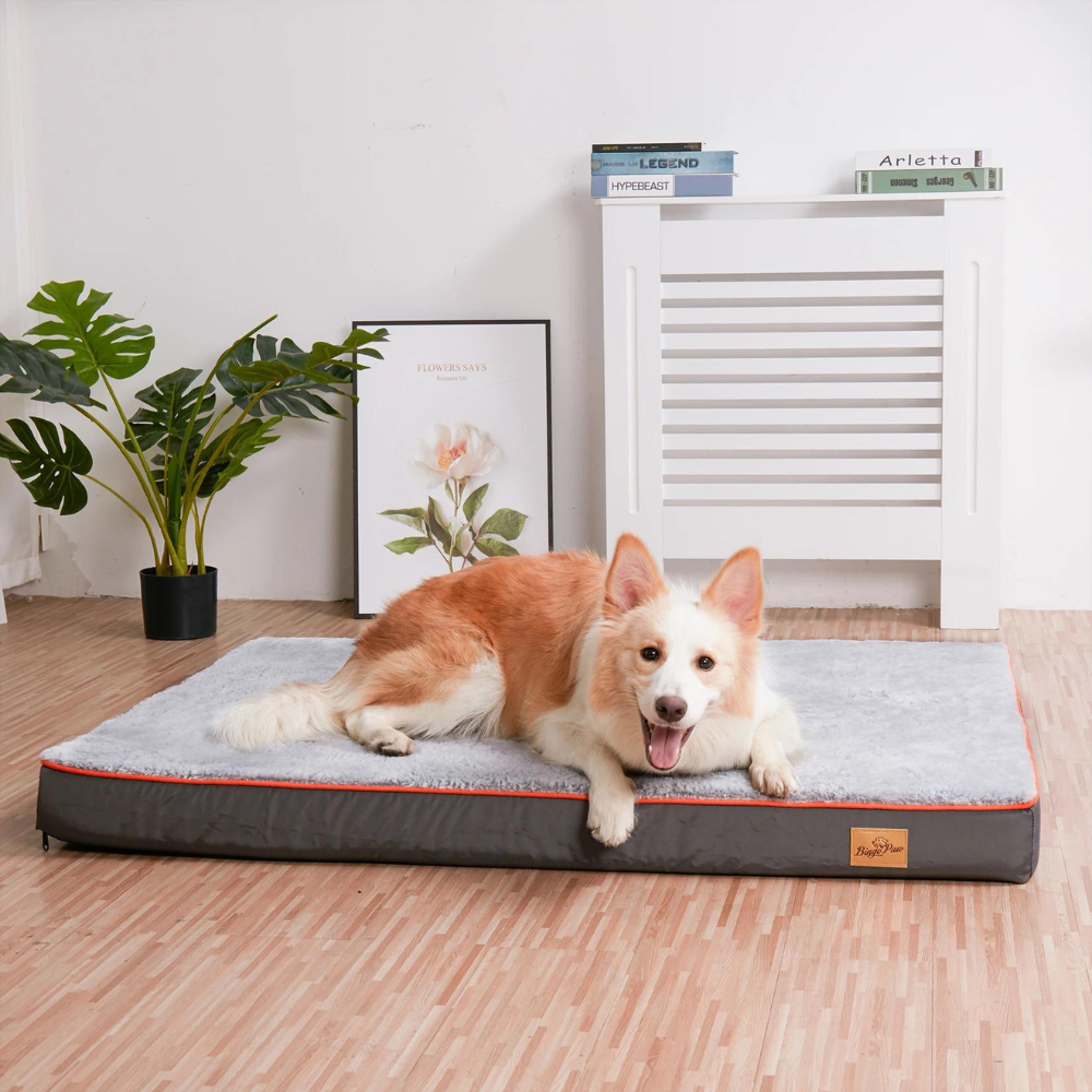 BINGOPAW Dog Bed Mat