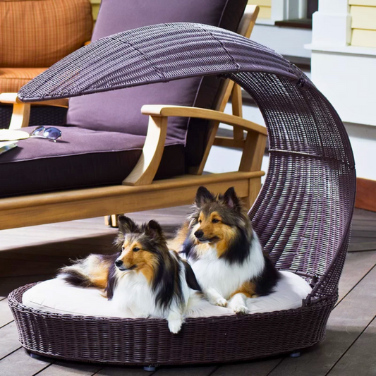 Clara Outdoor Hooded Dog Bed