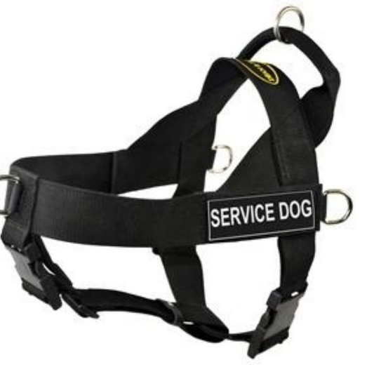 D&T No Pull Nylon Dog Harness with Handle