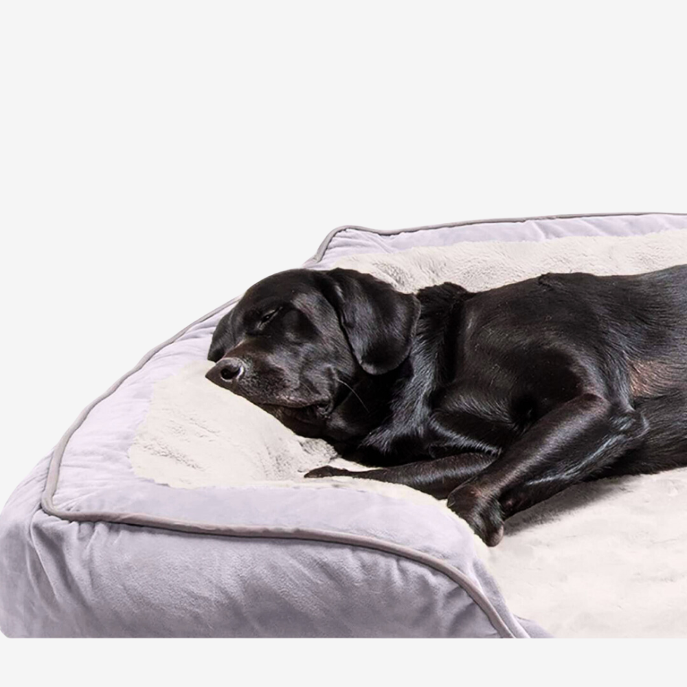 Orthopedic Comfort Lounger