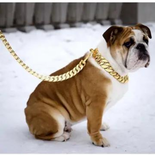 14K Gold-Plated Cuban Link Dog Leash