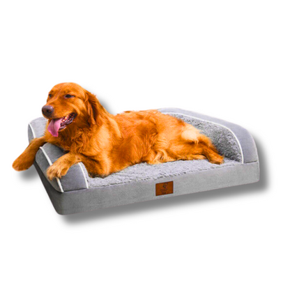 Cozy Orthopedic Bolster Sofa Bed