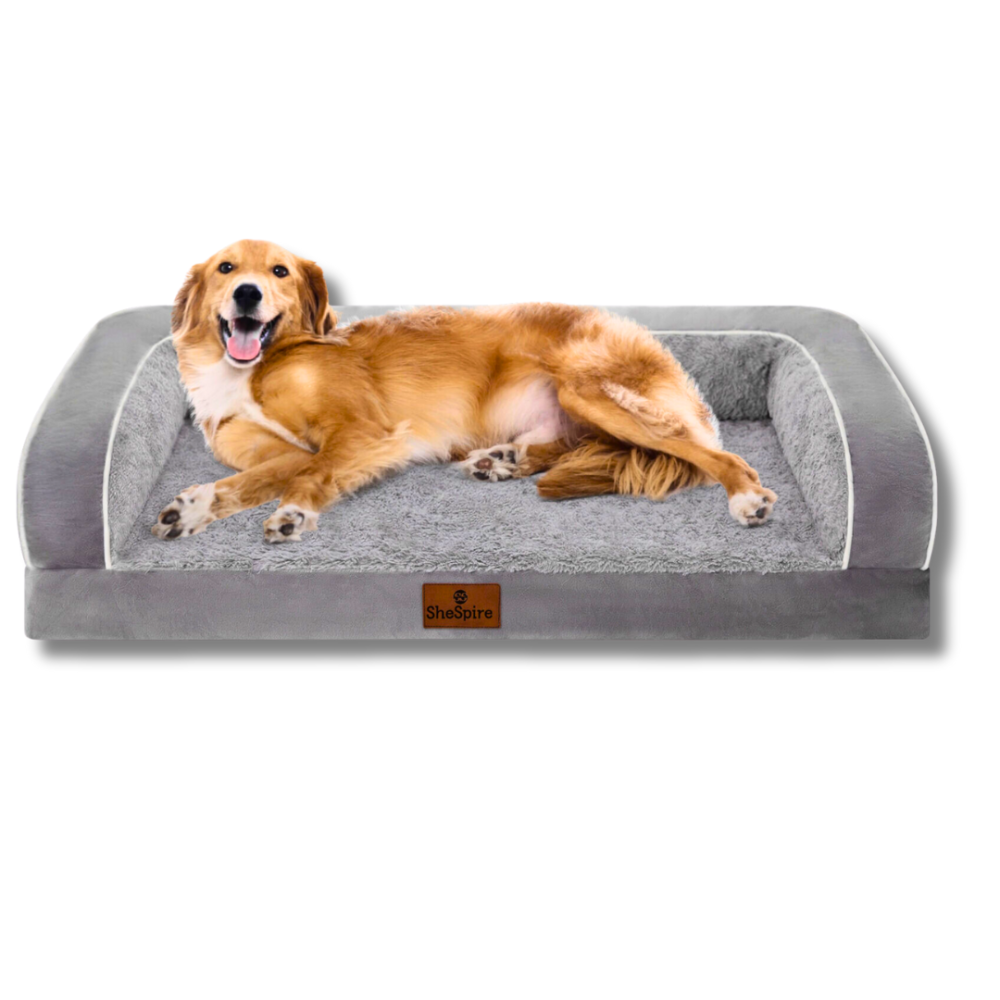 Cozy Orthopedic Bolster Sofa Bed