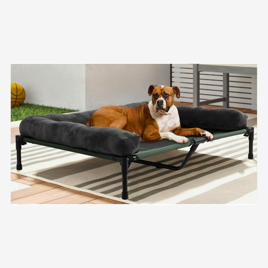 ComfortLift Elevated Dog Bed