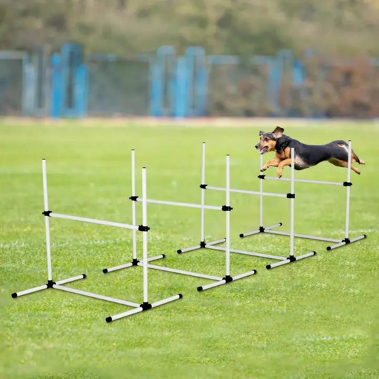 Hard Rock Health Agility Jumps