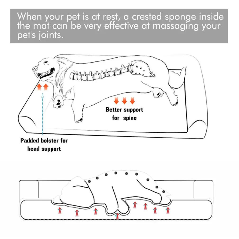 Bingopaw Orthopedic Dog Sofa Bed