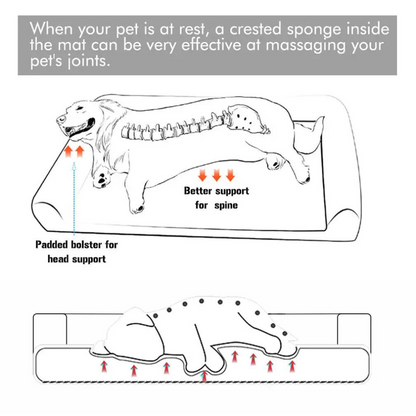 Bingopaw Orthopedic Dog Sofa Bed