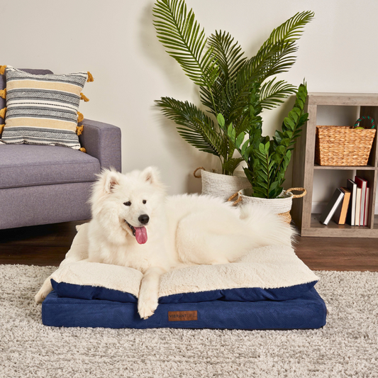 ComfortQuilt Orthopedic Dog Bed