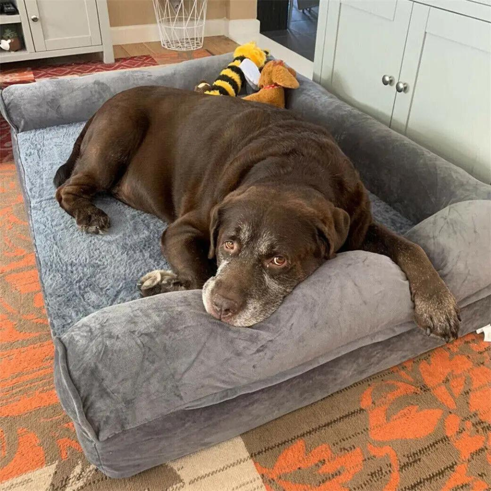 Bingopaw Orthopedic Dog Sofa Bed