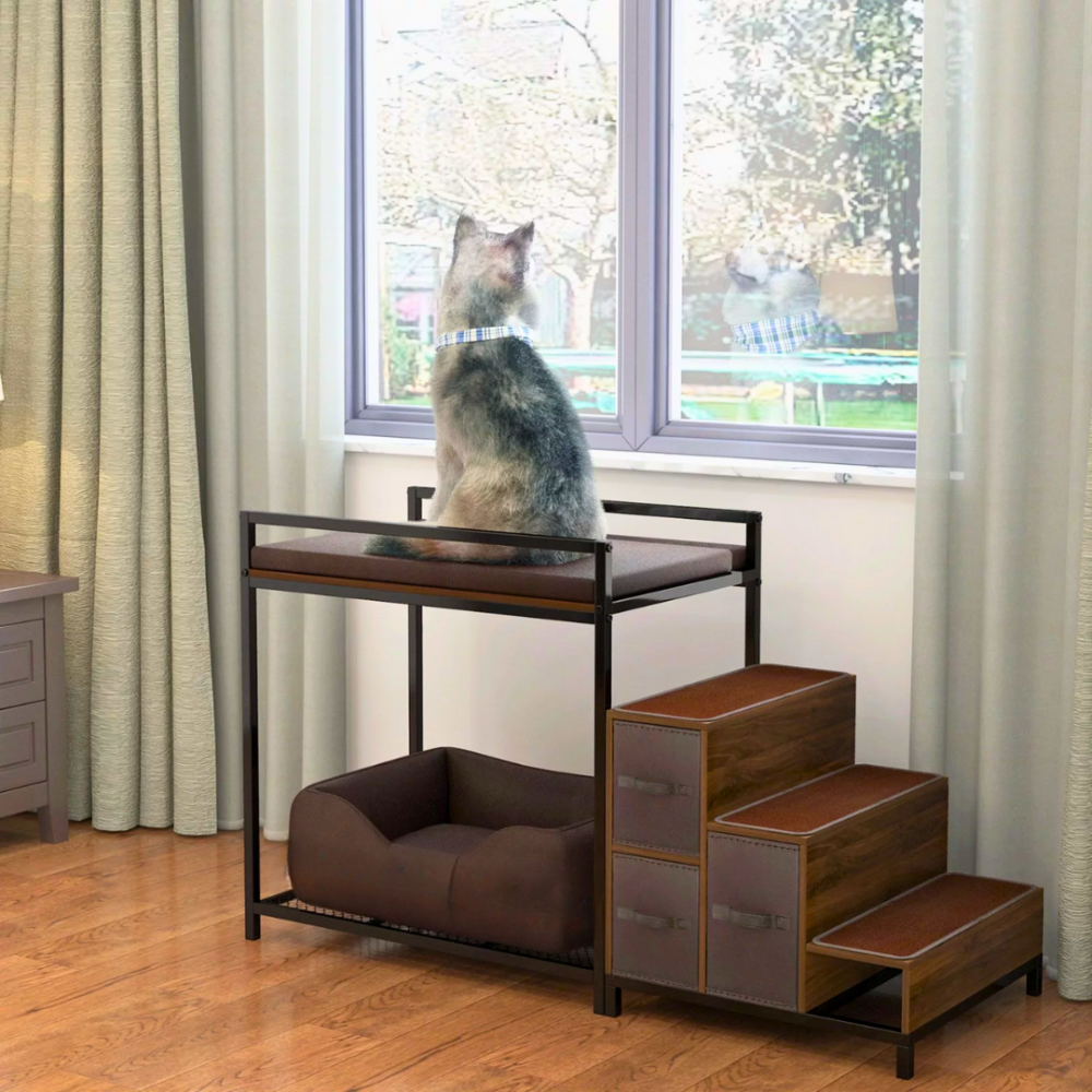 Elevated Window Perch Bed