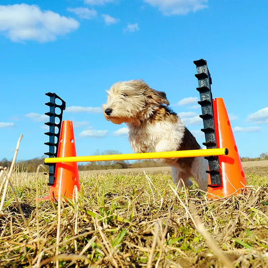 FitPAWS® Hurdle Set